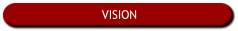 Vision